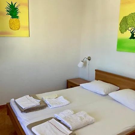 ルームズ ビンカ チューダー フヴァル