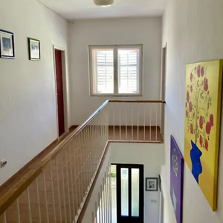 ルームズ ビンカ チューダー