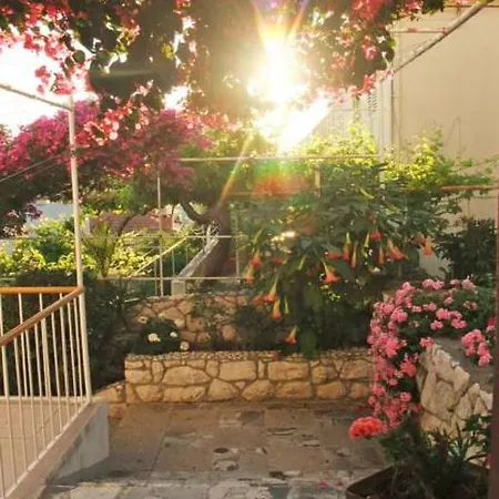 Gasthuis Vinka Tudor Hvar Town